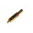 Cinch/Tulp male Plug Verguld Rood