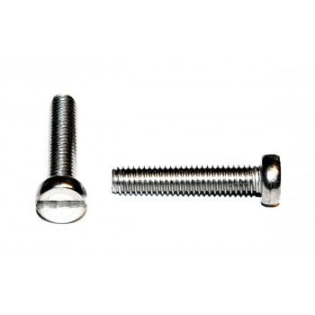 M4x20 Boutje RVS (10 stuks)