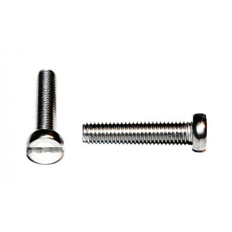 M4x20 Boutje RVS (10 stuks)