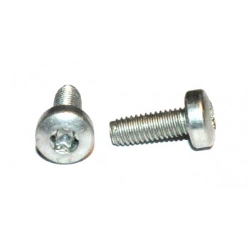 M3 x 8 Boutje Torx (25 stuks)