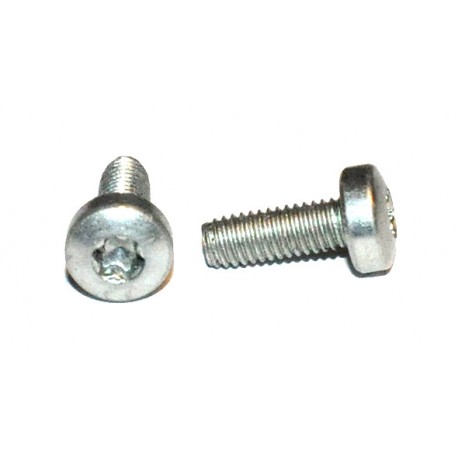 M3 x 8 Boutje Torx (25 stuks)