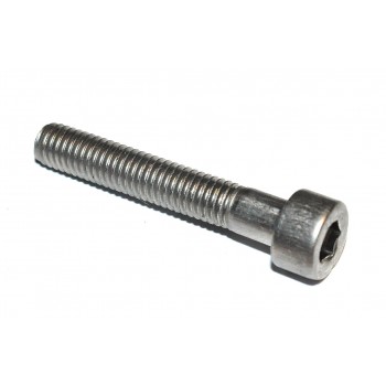 M5 x30 Boutje Inbus RVS (10 stuks)