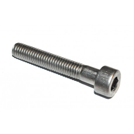 M5 x30 Boutje Inbus RVS (10 stuks)