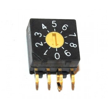 Digital Code Switch 10 Haaks 2