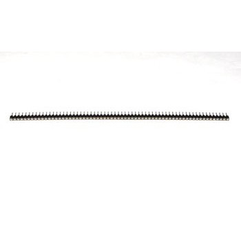Header 64p Female (SIL Prof. Voet)