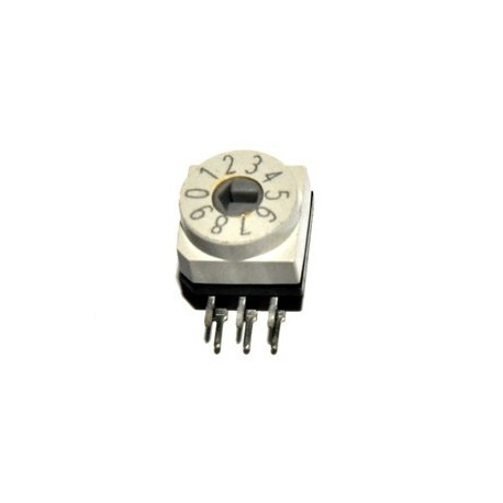 Digital Code Switch 10 Haaks 1